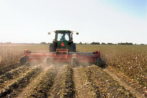 S-Series Pul-Chopper, Cotton (Row Crop)